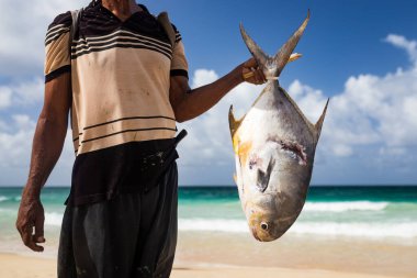 Siyah adam kuyruklu bir balığı tutuyor Macao sahilinde, Punta Cana, Dominik Cumhuriyeti