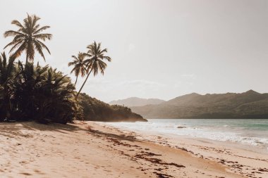 Samana, Dominik Cumhuriyeti 'nde gün batımında ılık renk cennet plajı