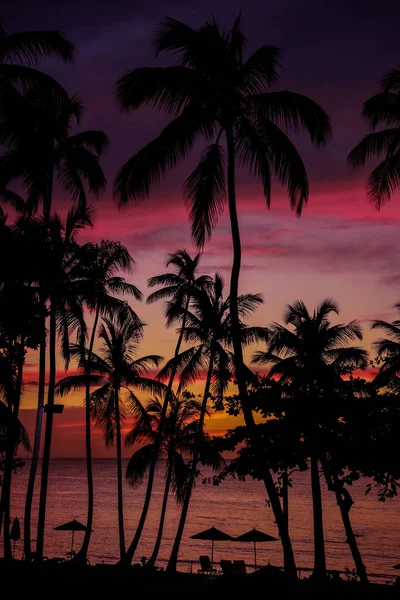 Σκιαγραφίες Φοινίκων Στο Πολύχρωμο Ηλιοβασίλεμα Πάνω Από Τον Ατλαντικό Ωκεανό — Φωτογραφία Αρχείου