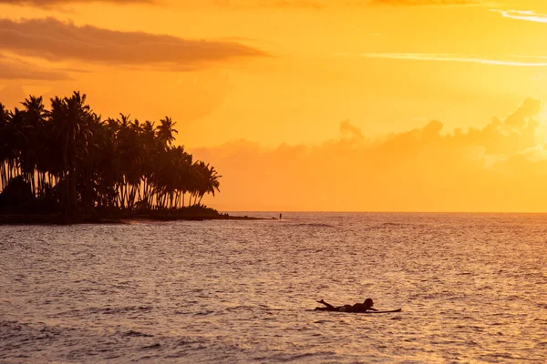 Πολύχρωμη Θέα Του Σέρφερ Στο Ηλιοβασίλεμα Στο Las Terrenas Δομινικανή — Φωτογραφία Αρχείου