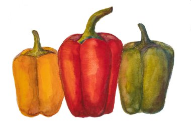 Kırmızı, sarı ve yeşil çan biberi suluboya çizimi