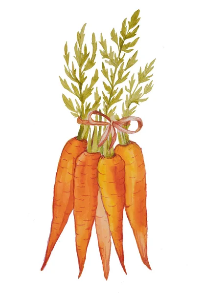 Акварельний Малюнок Купки Моркви — стокове фото