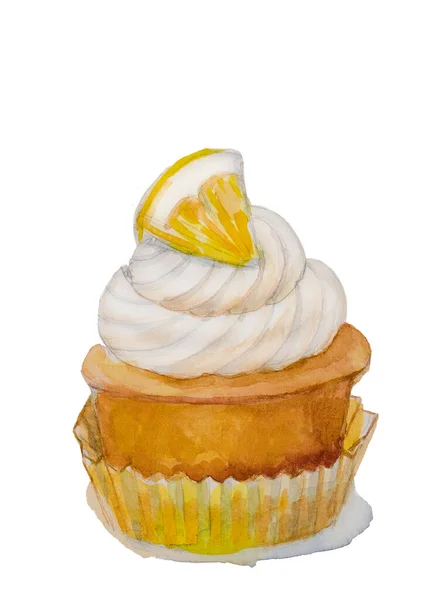 Aquarell Zeichnung Von Cupcake Mit Zitronenscheibe Und Sahne — Stockfoto