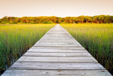 Düşük perspektiften bakan uzun tahta yürüyüş yolu. Yazın sıcacık yeşil çimlerle kaplı bataklık arazisi boyunca kırsal bir yol. Tahtalar mesafeye açılıyor..