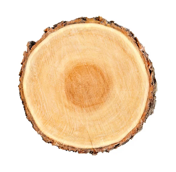 Ormandan kesilmiş büyük bir ağaç gövdesi. Yüzükler ve çatlaklarla desenli yüzey. Ormandaki ahşaptan yapılmış tarafsız kahverengi arka plan.