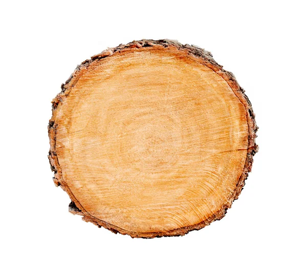 Ormandan kesilmiş büyük bir ağaç gövdesi. Yüzükler ve çatlaklarla desenli yüzey. Ormandaki ahşaptan yapılmış tarafsız kahverengi arka plan.