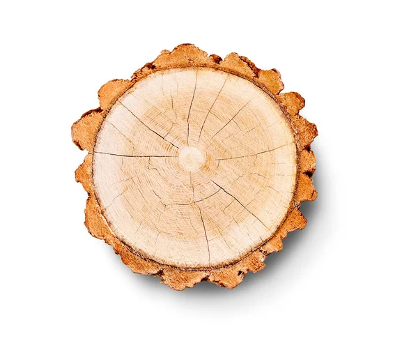 Ağaç gövdesinden kesilmiş bir tahta parçası ve beyaza izole edilmiş büyüme halkaları. Doğal klasik ahşap doku..