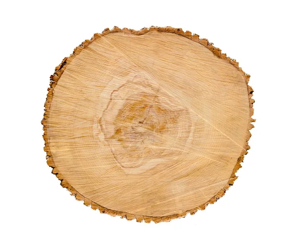 Gefälltes Stück Holz Von Einem Baumstamm Mit Wachstumsringen Isoliert Auf — Stockfoto