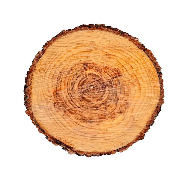 Ağaç gövdesinden kesilmiş bir tahta parçası ve beyaza izole edilmiş büyüme halkaları. Doğal klasik ahşap doku..