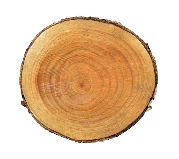 Ağaç gövdesinden kesilmiş bir tahta parçası ve beyaza izole edilmiş büyüme halkaları. Doğal klasik ahşap doku..