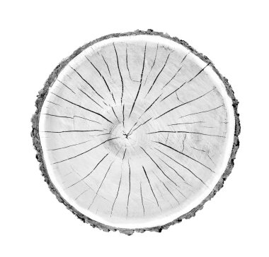 Wood growth rings stamp on a white background. Black and white felled tree trunk with detailed texture. clipart