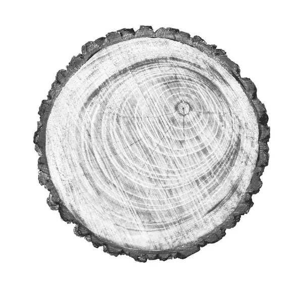 Beyaz arka planda ahşap büyüme halkaları var. Ayrıntılı desenli siyah beyaz ağaç gövdesi..