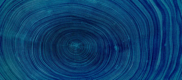 Eski ahşap meşe ağacı yüzeyi kesmiş. Kesik bir ağaç gövdesinin ya da kütüğün ayrıntılı çivit mavisi tonları. Ağaç halkalarının pürüzlü organik dokusu..