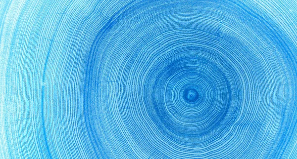 Eski ahşap meşe ağacı yüzeyi kesmiş. Kesik bir ağaç gövdesinin ya da kütüğün ayrıntılı çivit mavisi tonları. Ağaç halkalarının pürüzlü organik dokusu..