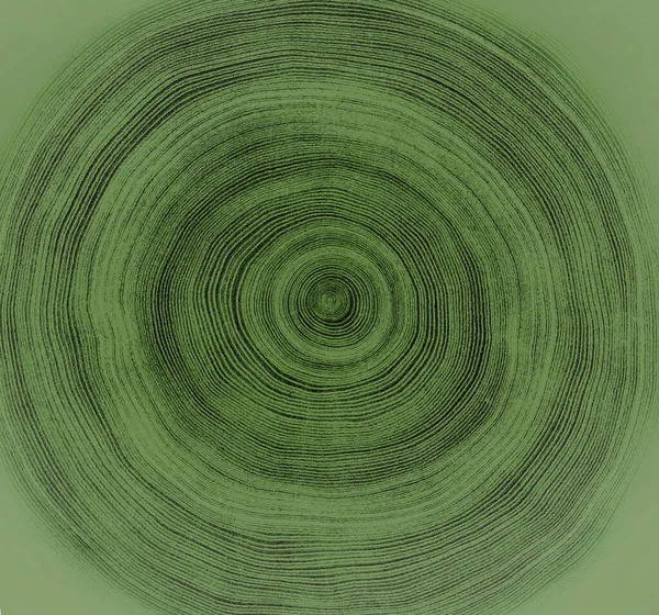 Kesilen ağacın ahşap dokusuna sahip parlak yeşil ağaç halkaları. Monoton ağaç damga dokusu.