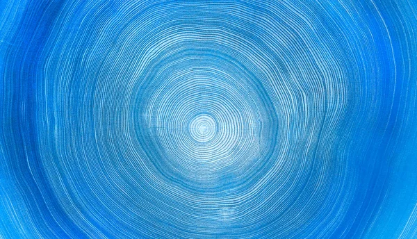 Eski ahşap meşe ağacı yüzeyi kesmiş. Kesik bir ağaç gövdesinin ya da kütüğün ayrıntılı çivit mavisi tonları. Ağaç halkalarının pürüzlü organik dokusu..