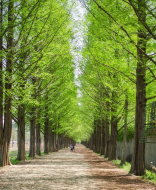 Parkın güzel manzarası
