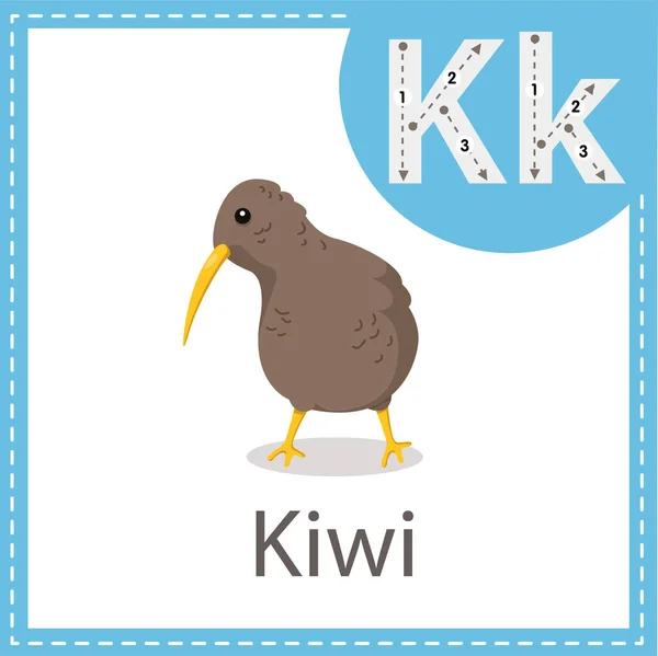 Illustratore Uccello Kiwi — Vettoriale Stock