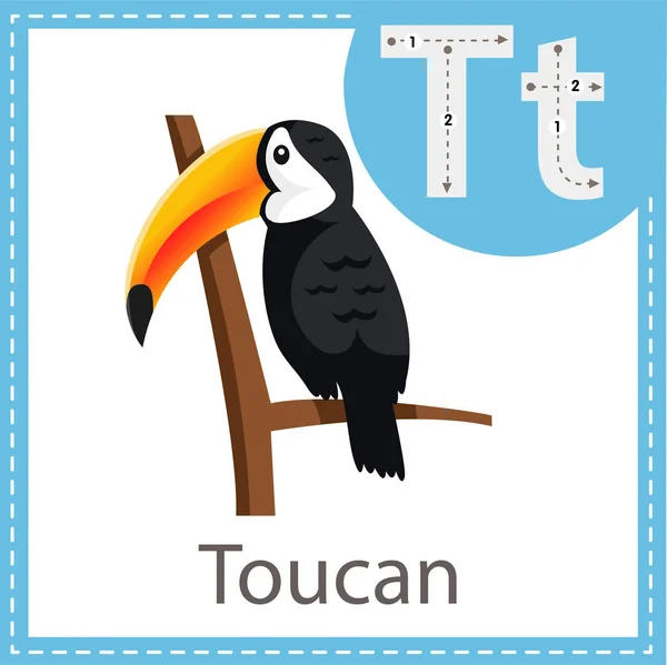 Illustrator Toucan Bird — Stock Vector