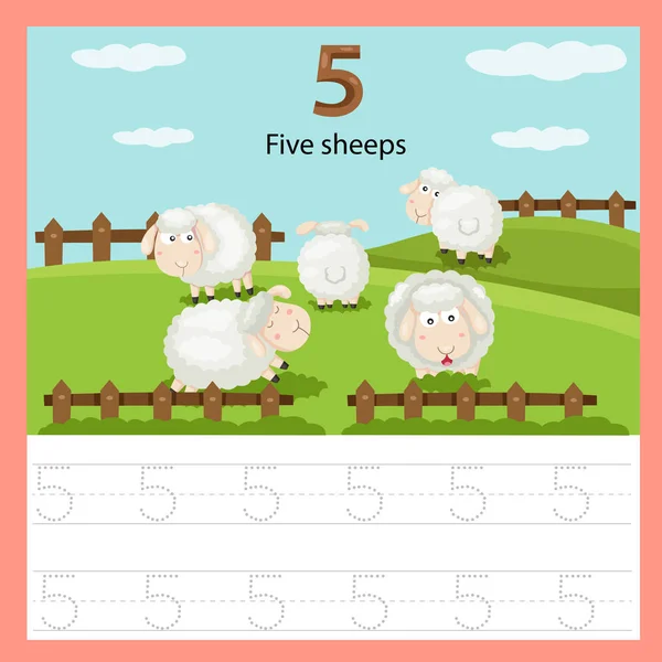 Illustratore Della Scheda Lavoro Cinque Pecore — Vettoriale Stock