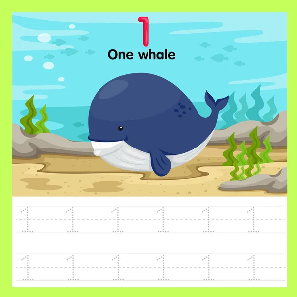 Illustrateur Feuille Travail Une Baleine — Image vectorielle