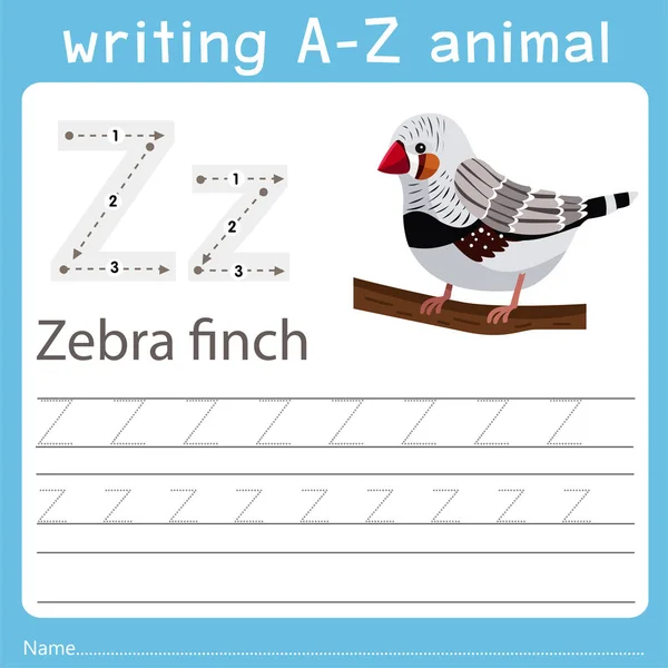 Автор Написания Животного Zebra Finch — стоковый вектор