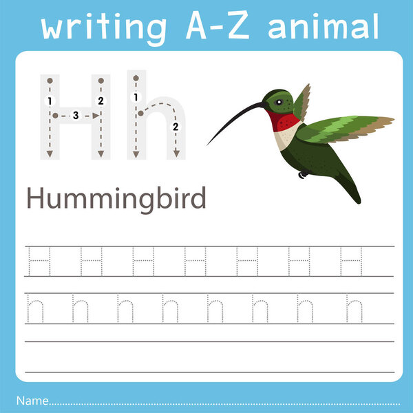 Illustrator of writing a-z animal h hummingbird