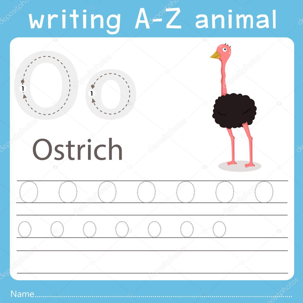 Illustrator of writing a-z animal o ostrich