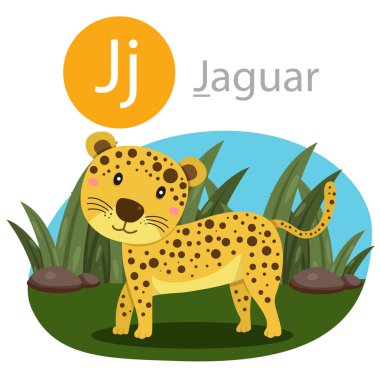 Jaguar hayvan için J Illustrator