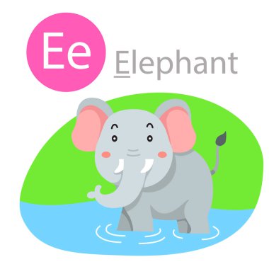 Fil hayvanı için E illustrator