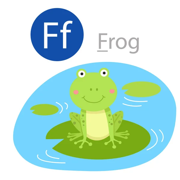 Illustrator Von Für Froschtier — Stockvektor