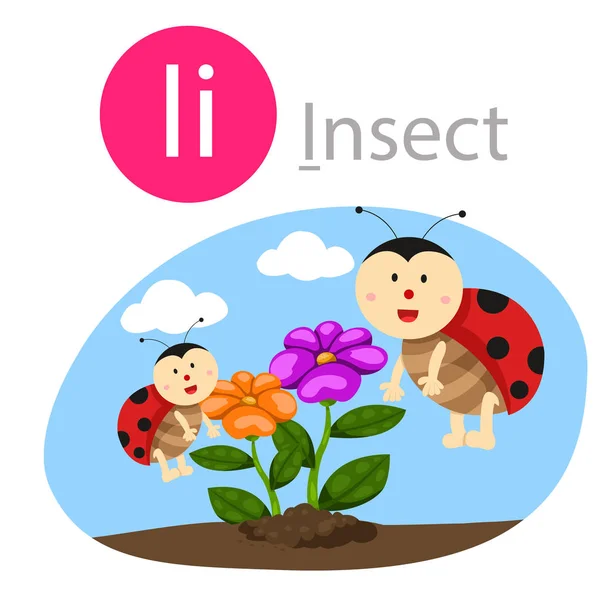 Illustrator Von Für Insektentier — Stockvektor