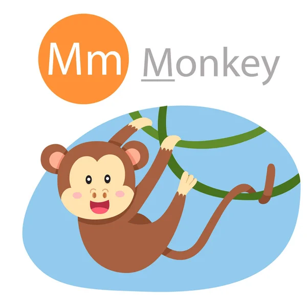 Ilustrador Para Animal Macaco — Vetor de Stock