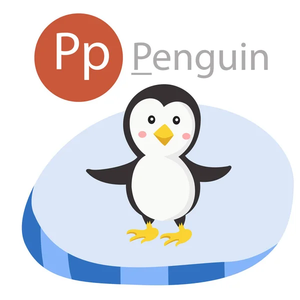 Penguen Hayvan Için Illustrator — Stok Vektör