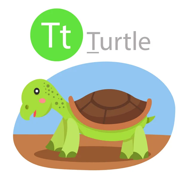 Illustrateur Pour Tortue Animale — Image vectorielle