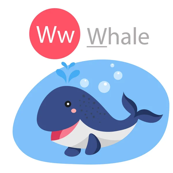 Illustrator Whale Animal — Stock Vector