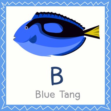 Blue Tang hayvan için B Illustrator
