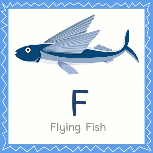 Illustrator Flying Fish Animal — Stock Vector