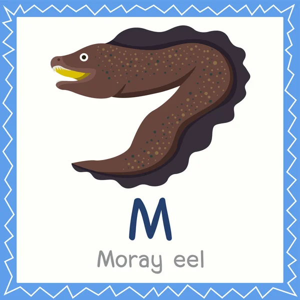 莫雷鳗鱼动物M的插图 — 图库矢量图片