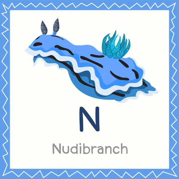 Illustratore Animali Nudibranchia — Vettoriale Stock