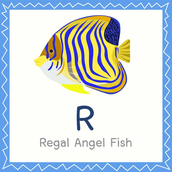 Illustrator Regal Angel Fish Animal — Stock Vector