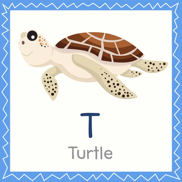 Ilustrador Para Tortuga Animal — Vector de stock