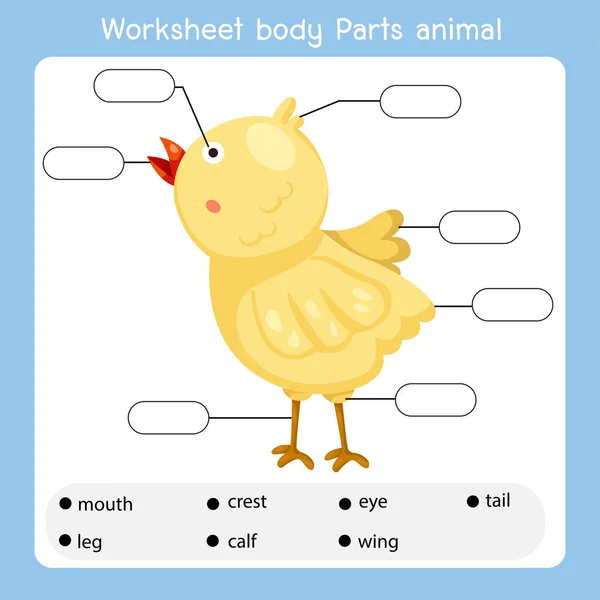 Worksheet Body Parts Animal — Stock Vector