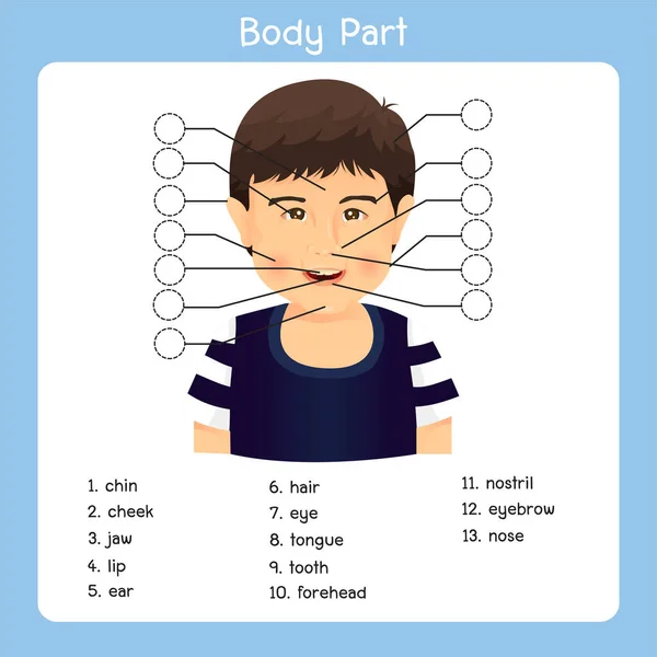 Worksheet body parts boy