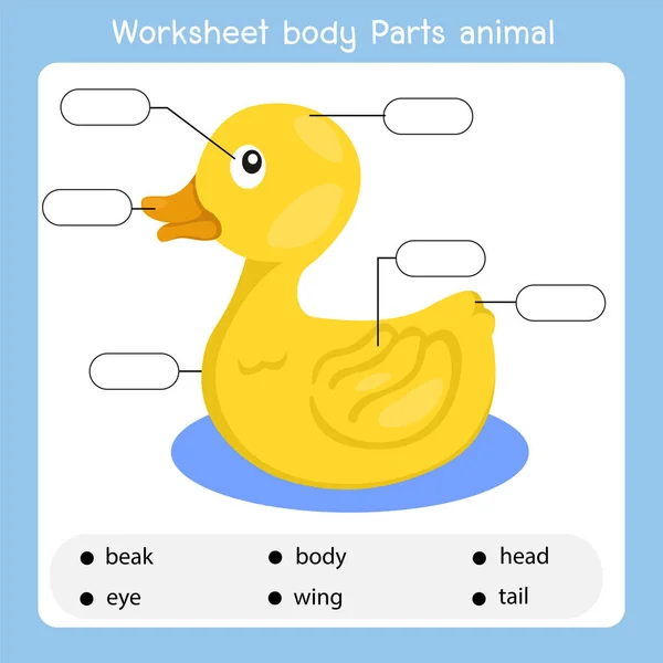 Worksheet Body Parts Duck Animal Stock Images Page Everypixel