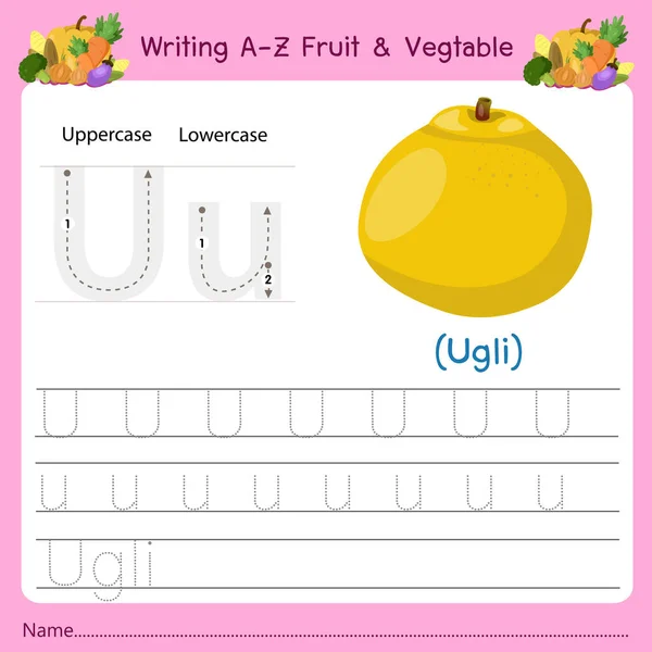 Ilustrador Escribir Fruit Vagetable Vectores de stock libres de derechos