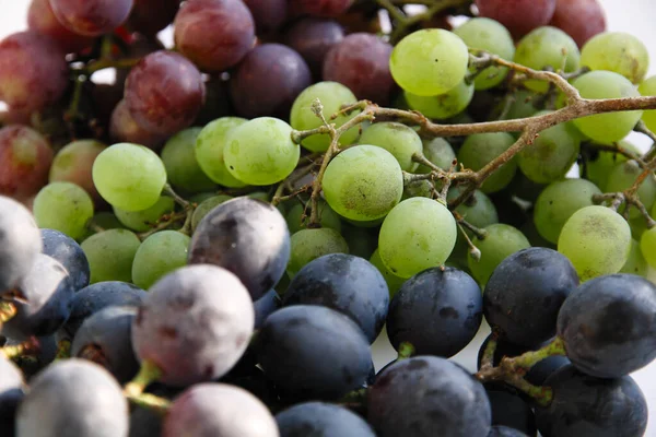 Svarta Druvor Stora Mängder Färsk Frukt Med Gröna Blad Och — Stockfoto