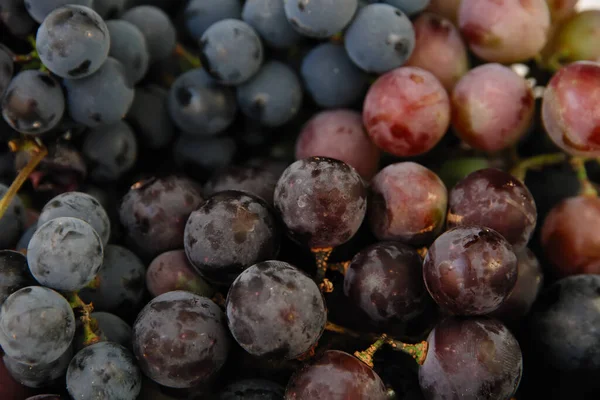 Czarne Winogrona Duża Ilość Świeżych Owoców Zielonymi Liśćmi Białymi Tłami — Zdjęcie stockowe
