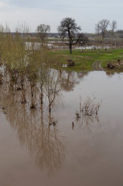 Romanya 'nın modern kırsal kesimlerinde, çamurlu sulardaki ağaçların yansımasıyla taşan ovalar.