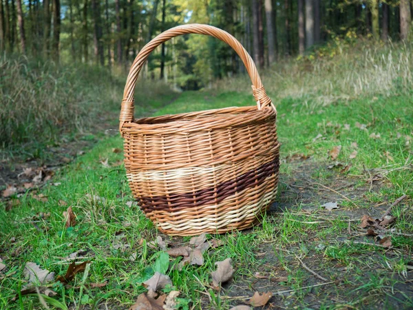 Wicker Basket Lying Ground Forest — Stock Photo, Image